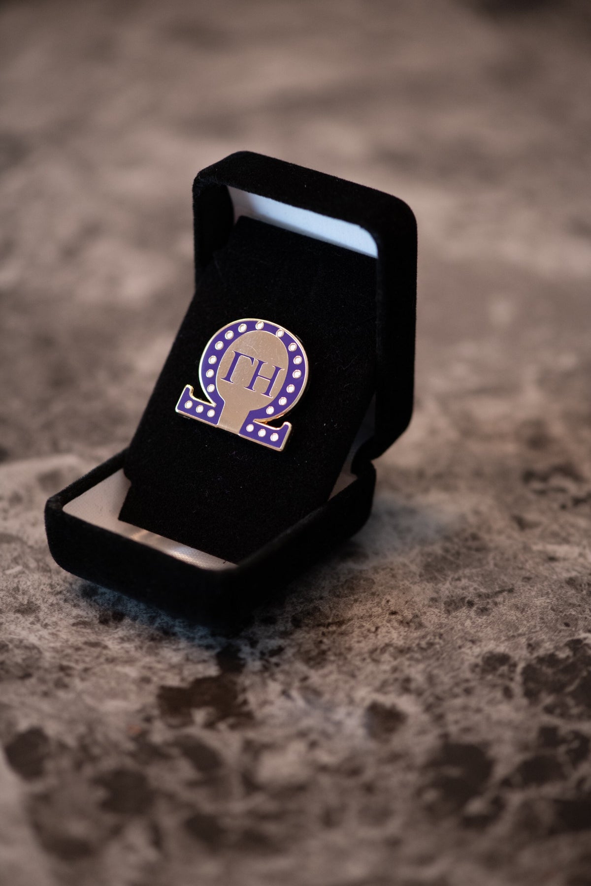 Omega Chapter Pin - Gamma Eta