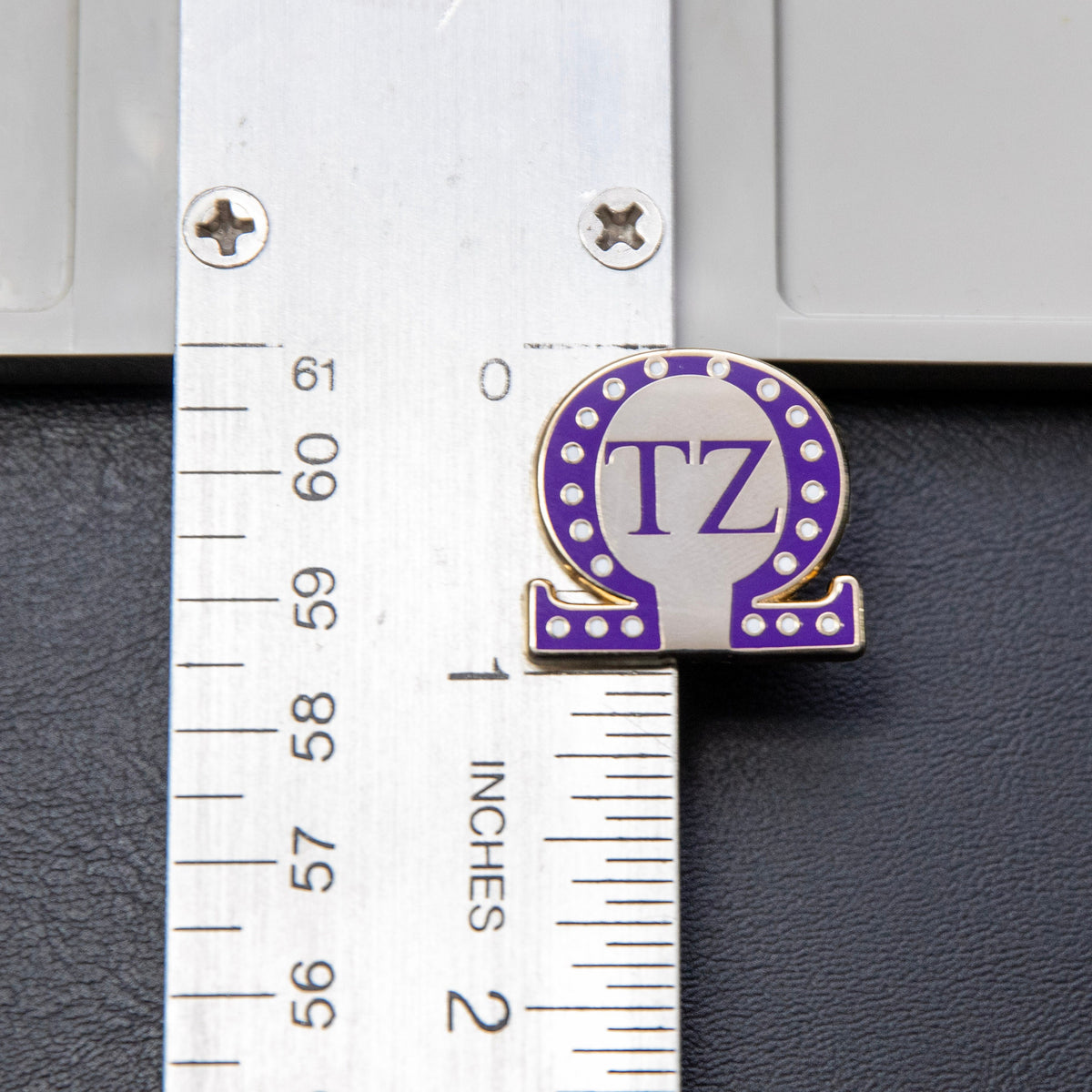 Omega Chapter Pin - Tau Zeta (TZ)