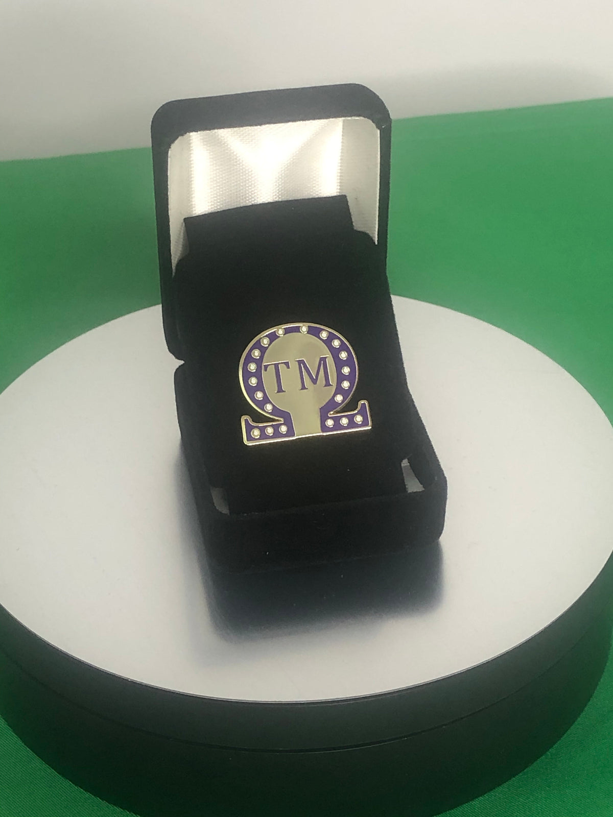 Omega Chapter Pin - Tau Mu (TM)