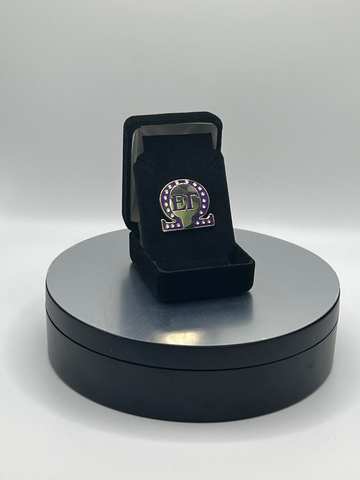 Omega Chapter Pin - Epsilon Gamma